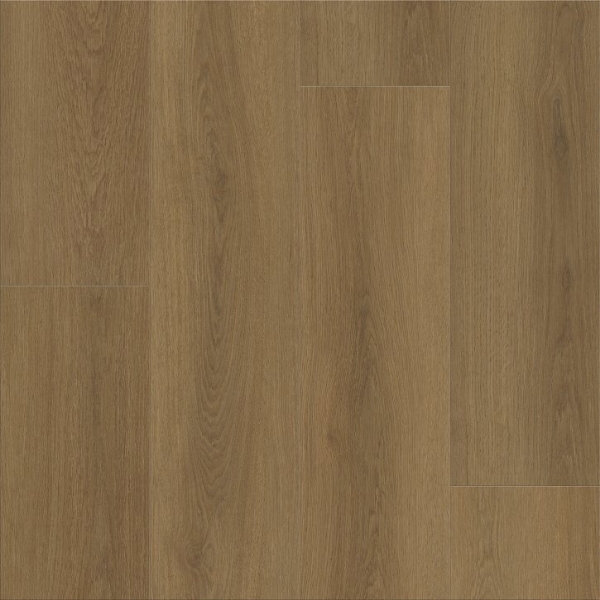 Picture of Shaw Builder - Home Rich Cocoa