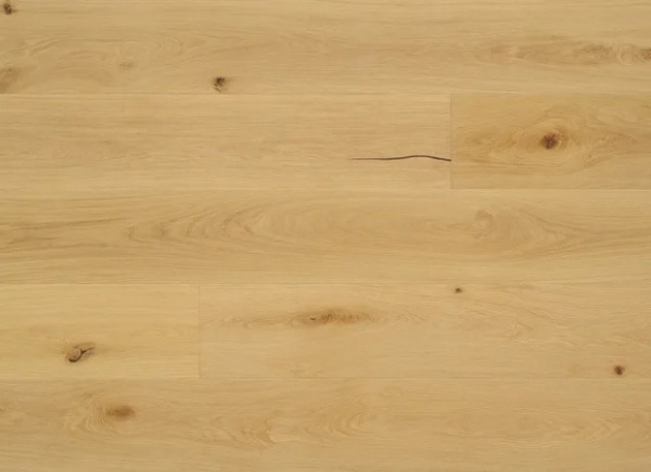 Picture of Nuvelle - Royale III Heydour