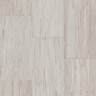 Picture of Shaw Builder - Coretec Wall Astrall