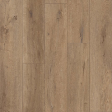Picture of Shaw Builder - Topflight Goldin Oak