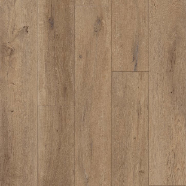 Picture of Shaw Builder - Topflight Goldin Oak