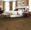 Picture of Quick-Step - Propello Cargo Oak