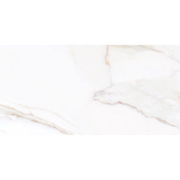 Picture of Tesoro - Paonazzo 24 x 48 Calacatta Gold Matte