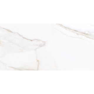 Picture of Tesoro - Paonazzo 24 x 48 Calacatta Gold Polished