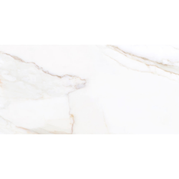 Picture of Tesoro - Paonazzo 24 x 48 Calacatta Gold Polished