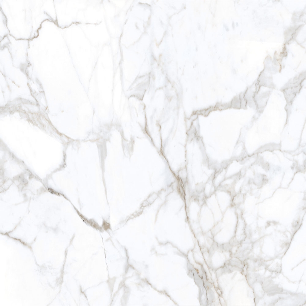 Picture of Tesoro - Lucca 24 x 24 Calacatta Polished