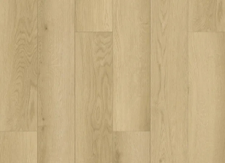 Picture of Nuvelle - Paradiso Santorini