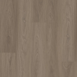 Picture of Shaw Floors - Homebound Woodland Mist