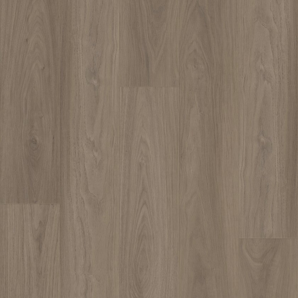 Picture of Shaw Floors - Homebound Woodland Mist
