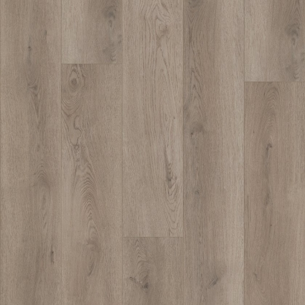 Picture of Shaw Floors - Homebound Smoky Greige