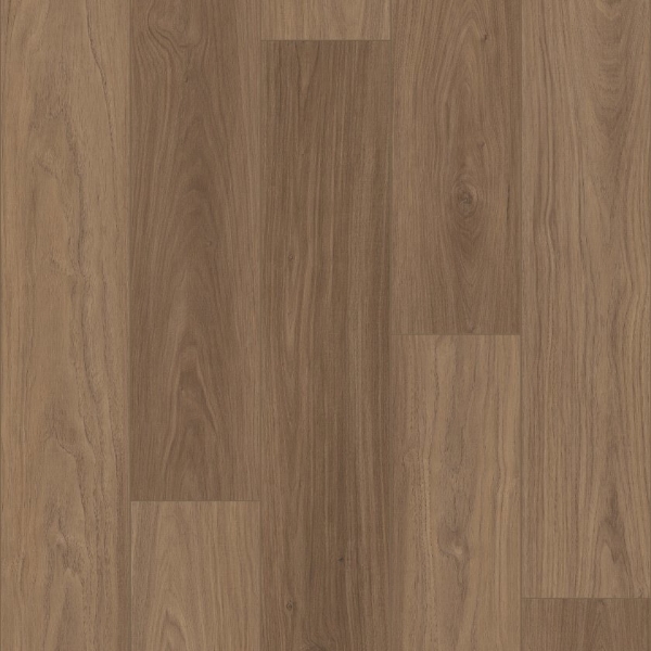 Picture of Shaw Floors - Homebound Cinnamon